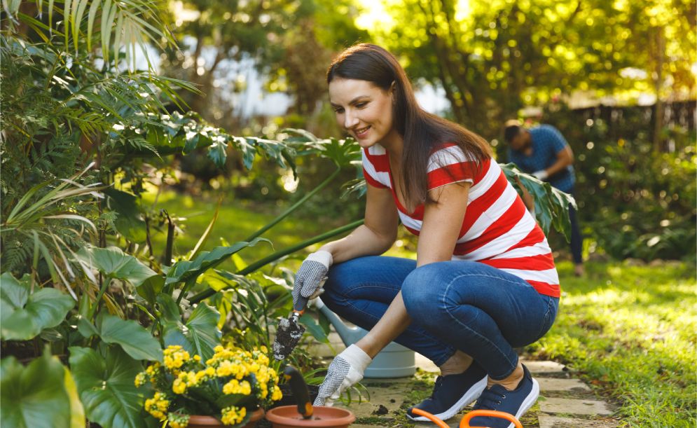 Back to School Means Back to Your Garden!