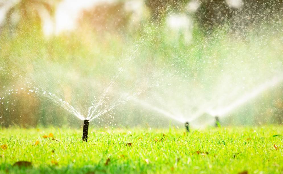 Benefits of Having a Lawn Sprinkler