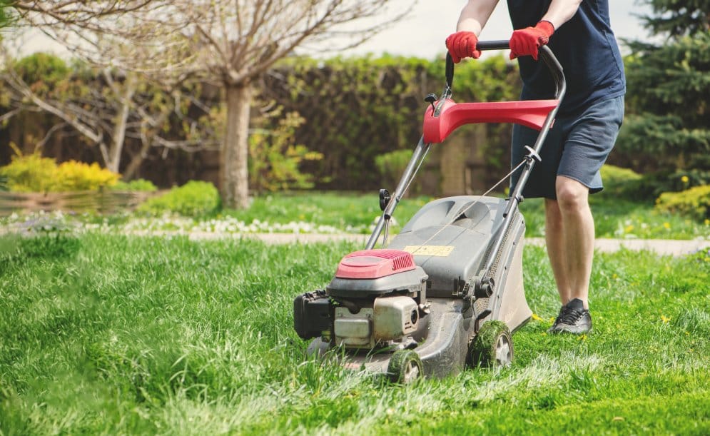 How Do I Keep My Grass Green During the Summer?