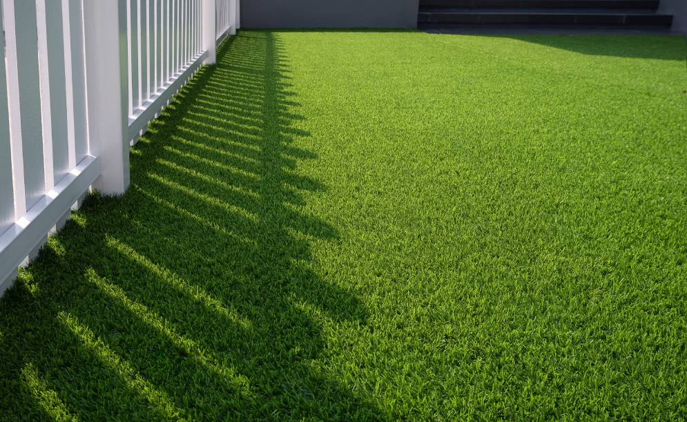 How to Keep Your Garden Looking Green and Healthy!