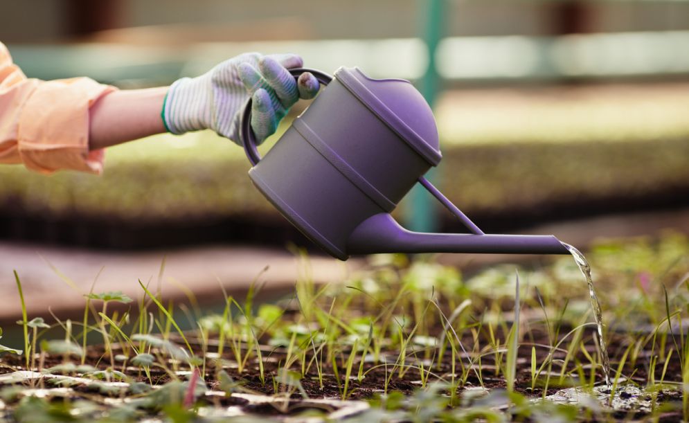 Landscaping Services for a Water-Saving California!