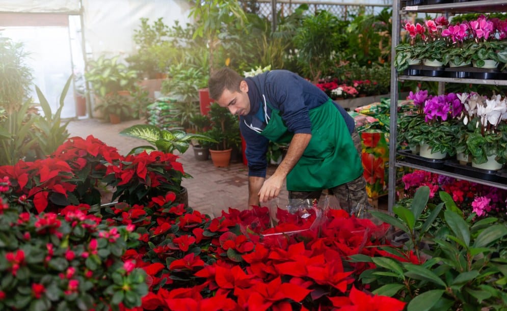 Let us Bring Your Dream Garden to Life!