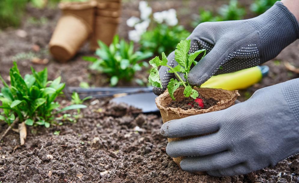 Organize your ideas with a Planting Plan
